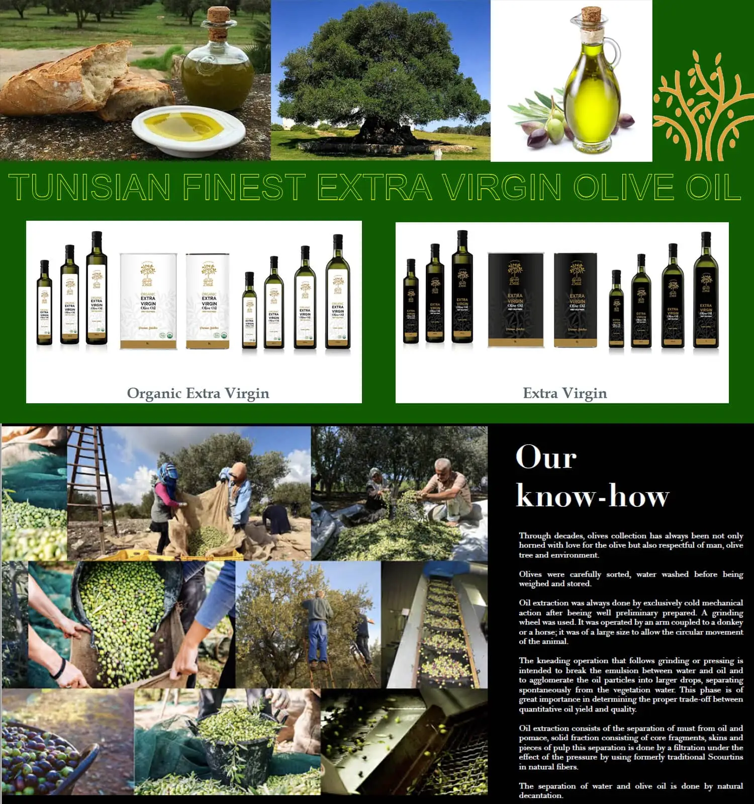 Extra Virgin Olive Oil